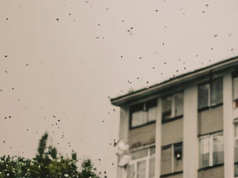 無法隱藏